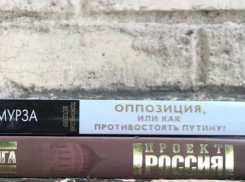 Оппозиционная литература появилась в неожиданных местах Ростова