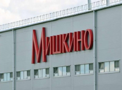 Ростовский инвестор выкупил фабрику «Мишкино» за 710 млн рублей