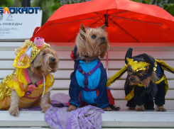 Кратковременный дождь ожидается в Ростове 21 сентября