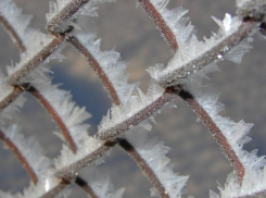 В Ростовской области 16 ноября ожидаются заморозки до минус 8 