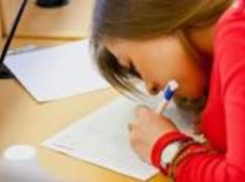 Написать «Большой этнографический диктант» смогут ростовчане