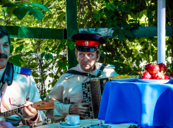 В Ростовской области на поддержку казаков за полгода потратили 427 млн рублей