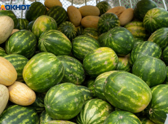 Продовольственные ярмарки пройдут в Ростовской области 17 сентября