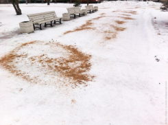 Директора «Комбината благоустройства» Батайска подозревают в хищении 3 млн рублей