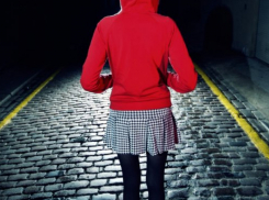 Читающая книги 14-летняя школьница сбежала из дома после ссоры с родителями в Ростовской области