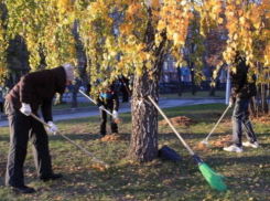 На общегородском субботнике ростовчане убирали мусор и боролись с рисунками на стенах  