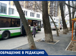 Дорожники закатали в асфальт деревья в Ворошиловском районе Ростова