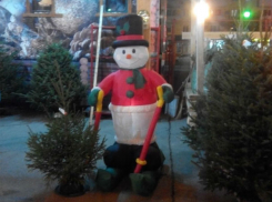 Новогоднее настроение в бесснежном Ростове создают едущие на лыжах по асфальту снеговики