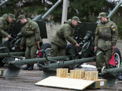 Взорвавшие вечернее небо звуки стрельбы переполошили жителей Ростовской области