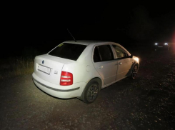 Ни такси, ни бензина: дончанин угнал чужую Skoda и не доехал из-за пустого бака