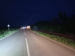 На Дону в ДТП погибла 22-летняя девушка