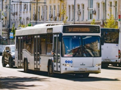 УФАС возбудило дело против ростовского департамента транспорта