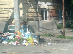 «Жутко медленно и запредельно эффективно»: как сервис «Благоустройство» «помогает» ростовчанам