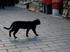 В Ростове 31% горожан признали себя суеверными