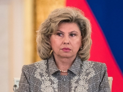 К вызволению ростовского летчика из тюрьмы США подключилась главная по правам человека в России