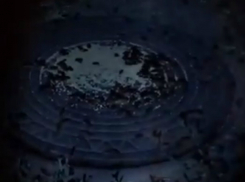 Ужасающие полчища усатых монстров заполонили целый жилой квартал в Ростове