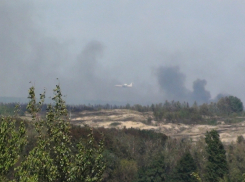 Свирепый пожар вторые сутки тушат 800 человек в Ростовской области