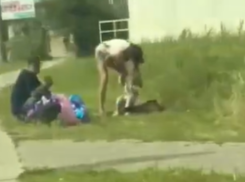 В Батайске многодетная мать скитается по мусоркам с маленькой дочерью: батайчане бьют тревогу