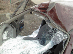 Ростовчанин насмерть сбил лошадь, мчащуюся галопом по дороге 