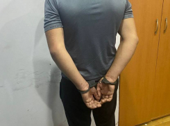 Нападавший на женщин в Таганроге мигрант будет депортирован 