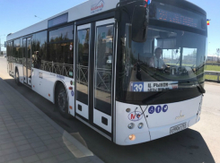 Дополнительные автобусы до парка «Левобережный» запустят на День России в Ростове