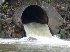 Загрязняющие реки Темерник и Дон в Ростове компании решили оштрафовать и закрыть