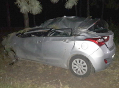 Двое мужчин получили травмы после ДТП с переворотом о дерево в Ростовской области