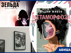 Проходим «Метаморфозы», посещаем экскурсии и отдыхаем в «Киночетверг»: куда пойти в Ростове на этой неделе