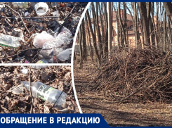 В Ростове с наступлением весны роща обросла мусором и сухостоем 