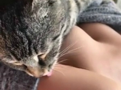 Вылизанная ростовская звезда «Playboy» рассказала о райском наслаждении своей киски 