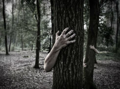 «Возвращение вечером домой превращается в хоррор-квест»: ростовчане боятся выходить из дома