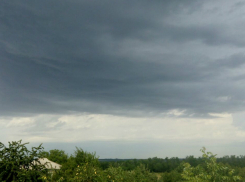 Отключения электричества из-за бури начались в Ростовской области