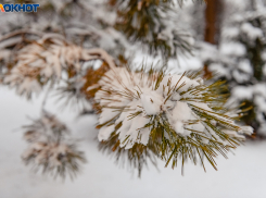Климатолог рассказал, какую зиму ждать жителям Ростовской области