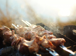 Под Ростовом пройдет первый конкурс-фестиваль шашлыка