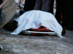 Сына фермера расстреляли в салоне микроавтобуса в Ростовской области