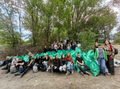 Кумженскую рощу очистили от мусора во время осеннего субботника