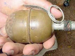  Мужчина от скуки закидал гранатами соседский двор в Ростовской области 