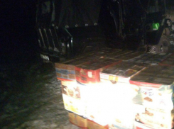 Ореховую контрабанду на полмиллиона пытались провезти злоумышленники в Ростовской области