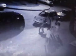 Агрессивный бойцовский пес погрыз мужчину и довел его детей до психоза во дворе Ростова