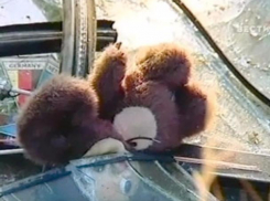 8-летнего пассажира от смерти в Ростовской области спасли ремни безопасности