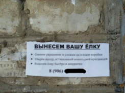Особенно ленивым ростовчанам предлагают услугу елки на вынос