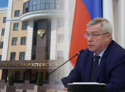 Прокуратура Ростовской области указала губернатору на нарушения прав инвалидов 