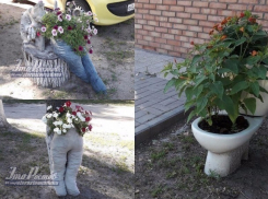 «Унитазные» клумбы и проросшие букетами «полутрупы» стали хитом лета в Ростове