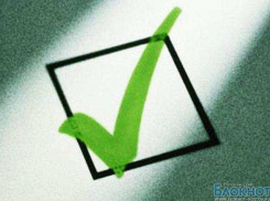 В Новочеркасске закончилось голосование   