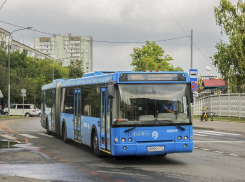 В Ростове возобновит работу автобусный маршрут из центра в Суворовский