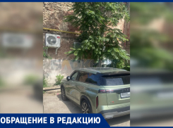 В Ростове на Станиславского неизвестная режет колеса десяткам автомобилистов