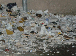  В Ростове друзья закидали кружками припаркованные около многоэтажки  машины 