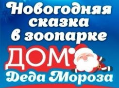 Ростовский зоопарк приглашает на день рождения слонихи Ситары, а также на новогодние, фееричные шоу 