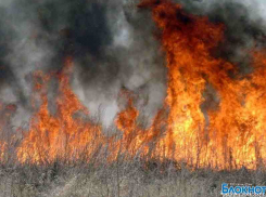 Степной пожар под Ростовом: площадь горения-50 гектаров