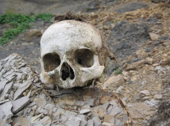 Череп полувековой давности нашли в Ростове 